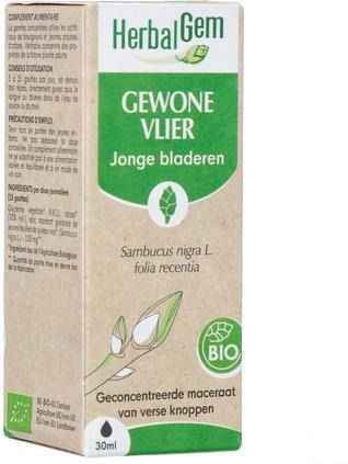 Herbalgem - Vlier Maceraat - Druppels - Bio - 30ml