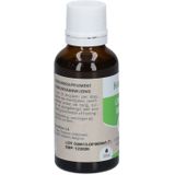 Ginkgo Biloba - Knop - 100g - Natuurlijke Supplement