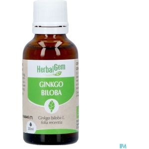 Ginkgo Biloba - Knop - 100g - Natuurlijke Supplement