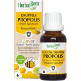 Herbalgem Propolis Junior Bio Fl Gutt 15ml