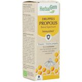 Propolis - Echinacea - Fytotherapie - Harsvormige Substantie