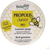 Propolis - Echinacea - Hars - Ondersteunt Afweersysteem