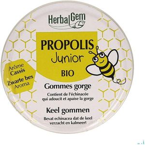 Propolis - Echinacea - Hars - Ondersteunt Afweersysteem