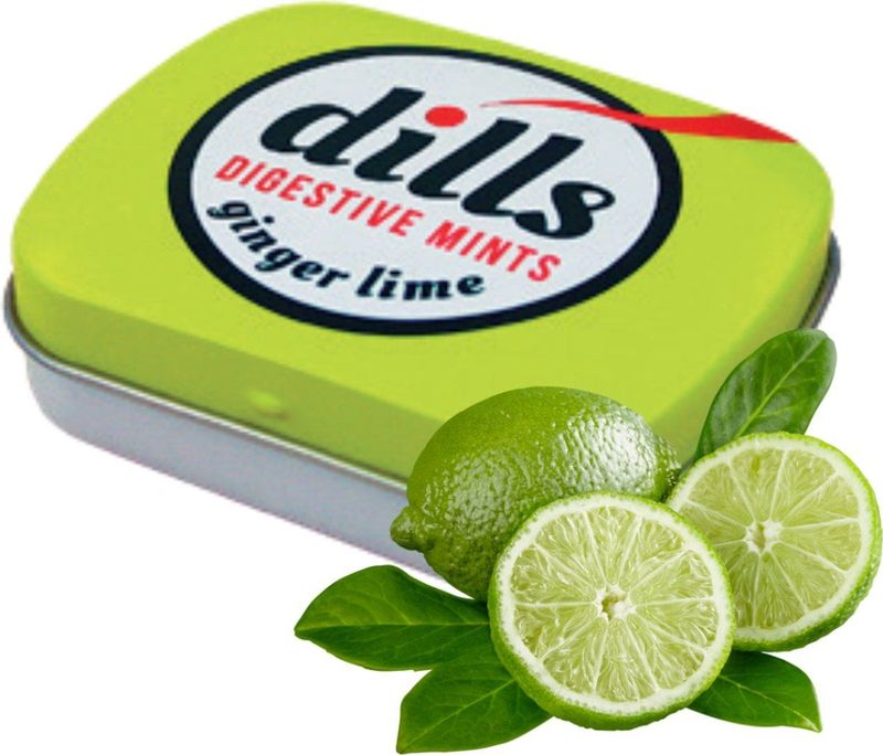Dills - Digestive Mints - Suikervrij - Gember en Limoen - 15 gram