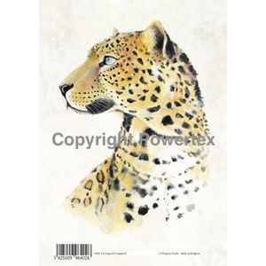 A4 Powerprint paper Leopard