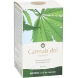 Cannabidol - Softgel Capsules - Hennepzaadolie - Kruidnagel Extract