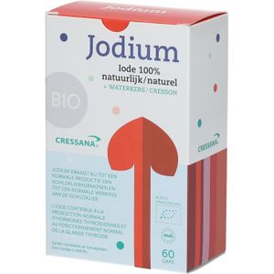 Wondontsmetters - Plantaardig Jodium - Kelp - 100ml