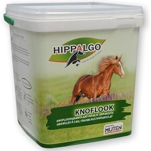 Knoflook 3 kg, Paardenknoflook, Hippalgo