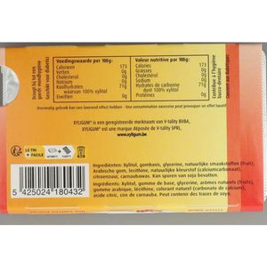 Xyligum - Kauwgom - Fruit - 24x12 stuks