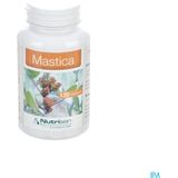 Nutrisan Mastica Caps 120 | Natuurlijke Maagondersteuning | Vegetarisch