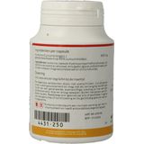 Nutrisan Curcessense capsules 60cp