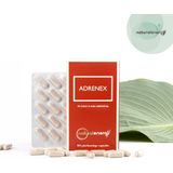 Adrenex – 60 Vegan Caps met 6 Adaptogene Planten – Fysieke en Mentale Prestaties (1) – Ondersteuning Bijnieren (2)