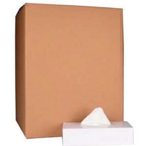 Papieren Zakdoeken - 2-laags - 100 Tissues per Doos - Pak van 40 Doosjes