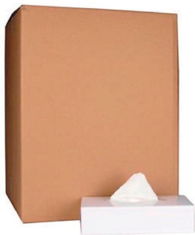 Papieren Zakdoeken - 2-laags - 100 Tissues per Doos - Pak van 40 Doosjes