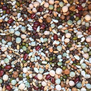 Kiemzaad Papegaai 20kg - Kiemzaden - Kiemzaad Vogels