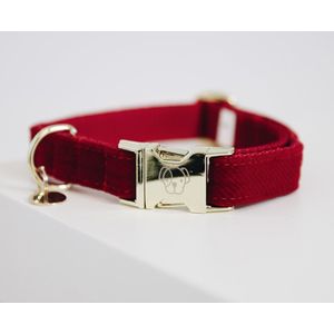 Hundehalsband Kentucky Corduroy