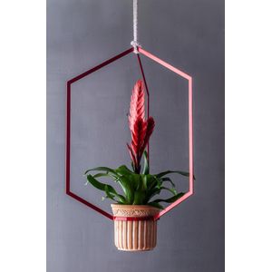 Hangende plantenpot - Robijn rood metaal - 50x35x35cm - Ø 12 cm - handgemaakt in Antwerpen - Plantenhanger Bloempot Plantenbak