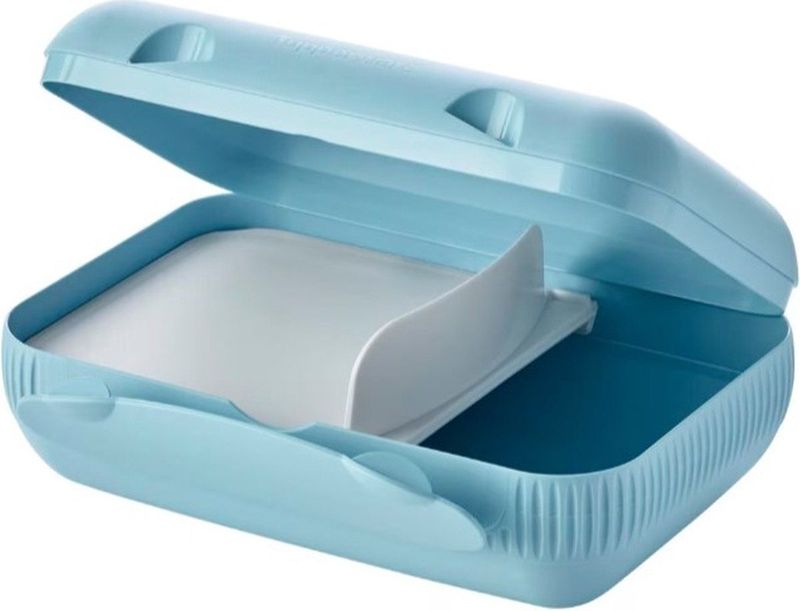 Tupperware To Go Broodtrommel met scheidingswand broodtrommel