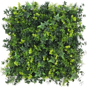 Barbuda | FOLY - 50 x 50 cm - Green wall voor decoratief binnen en buiten gebruik - Tropische kunsthaag met klimop - 5j UV garantie - JIVANA