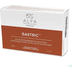 Voedingssupplement - Vegetarische Capsules - Ondersteuning Vertering - Vitamine A