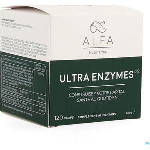 Enzymencomplex - Gember - Artisjok - Lactase - 90 Capsules