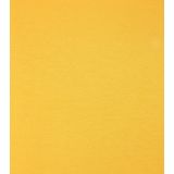 T-shirt Colorful Standard Classic Organic burned yellow