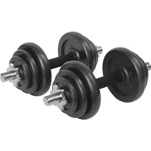 Verstelbare Dumbbell set 20 Kg met Koffer - Gietijzeren Gewichten - 2x 10kg