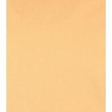 T-shirt Colorful Standard classic organic