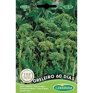 WEYE-Germisem Bio Graines Chicorée Pain de Sucre ELMO[1194
