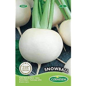 Germisem Snowball Bieten Zaden 20 g