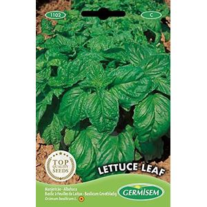 Germisem EC1102 Lettuce Leaf Basilicum Zaden 3 g