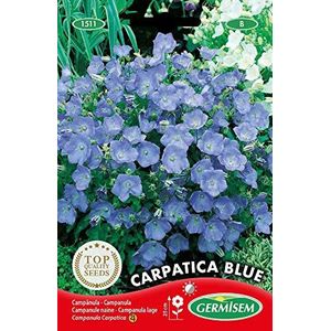 Germisem Carpatica Blue Campanula Zaden 0.5 g