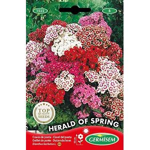 Germisem Herald of Spring Kruidnagel Zaden 1 g