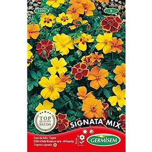 Seminte de Flori de piatra Portulaca grandiflora Happy Hour Mix