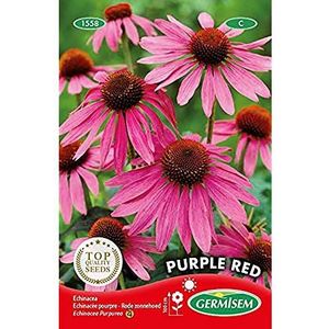 Germisem Purple Red Echinacea Zaden 1 g