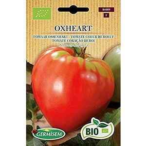 Germisem Organisch Oxheart Tomaat Zaden 0.5 g