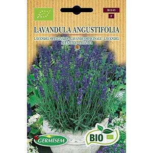 Germisem Organisch Lavandula Angustifolia Lavendel Zaden 0.5 g