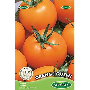 Tomaat Orange Queen