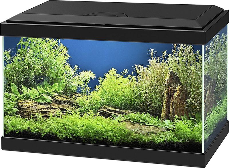 Ciano Aqua 20 Aquarium - 40x 20x31 cm - 17L - Zwart