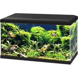 Ciano Aquarium 60 Led - Zwart - 58L - 60x30x34 cm