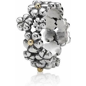 Pandora Damen-Ring Silber 190506-59