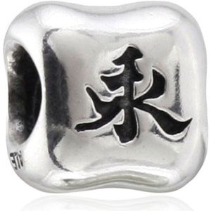 Pandora Damen-Charm Silber 790190