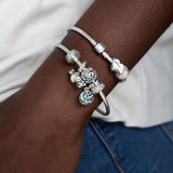 Pandora 791817CZ Bedel Zilver 925