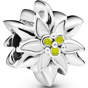 Elli Damesring, echt sieraad, verstelbaar, edelweiss Wiesn, in 925 sterling zilver, 54 EU, sterling zilver