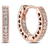 Pandora - Signature - Dames Oorringen - Roségoud