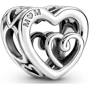 Pandora 790800C00 - Entwined Infinite Hearts Charm - Bedel