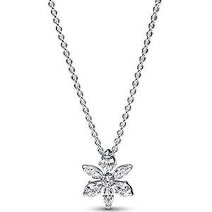 PANDORA - Timeless - Halsketting - 45 cm - Sterling Zilver - Funkelnde Herbarium Cluster
