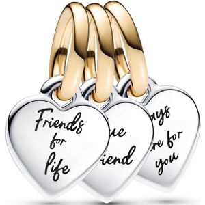 PANDORA Moments Bicolor Teilbarer Dreifacher Freundschafts-Charm-Anhänger aus Sterling Silber mit vergoldeter Metalllegierung, Zirkonia, Kompatibel Moments Armbänder, 762722C00