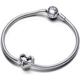 Pandora - Moments Charm - Familie Hart