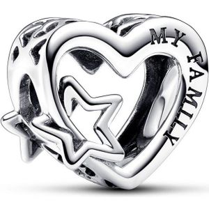 Pandora - Moments Charm - Familie Hart